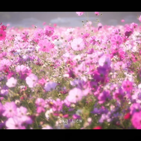 師走も楽しもう　♡(*´∇｀*)♡     110本／100本の画像