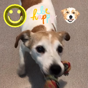 帰ってくるなの画像