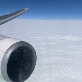 ただいま！の画像