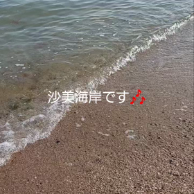 で、、海岸で～の画像