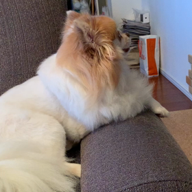 風に吹かれての画像