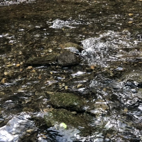 ウォーキングがてらの画像