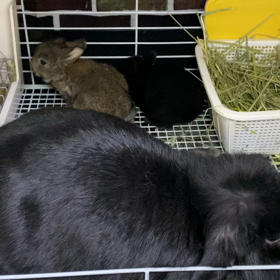 ただいまー！の画像