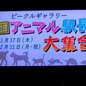 りょうま駅長に元気玉の画像