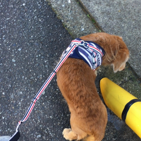 さっそくの画像