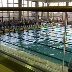 コバトンカップの画像