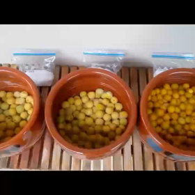 健ちゃんの梅干し2021　その④の画像