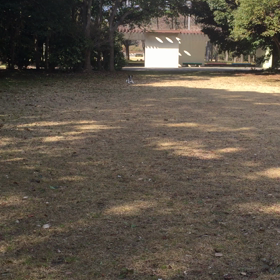 サッカー遊びの画像