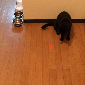 チュービームが…の画像