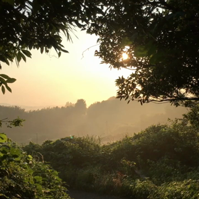 暑い！とにかく暑い！の画像