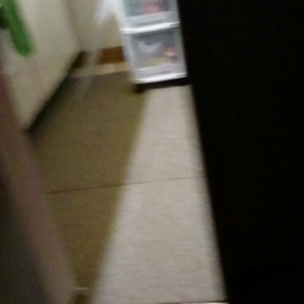 スライドショーの画像