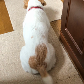 今日もいちにちの画像