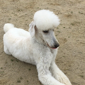 雨が降りそうだけど〜の画像