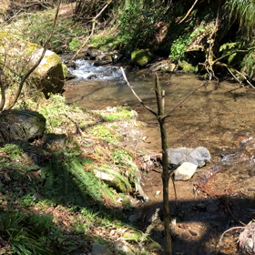 マスク２枚(੭ु´･ω･`)੭ु⁾⁾の画像