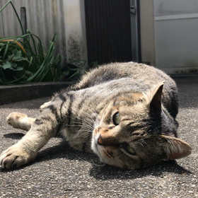 コロナ休み〜おうちヨガからの画像