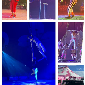 再度血液検査と診察の追加(-｡-;の画像