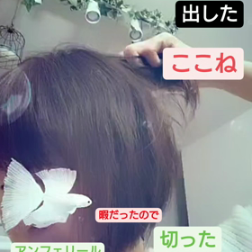 ショートヘアの画像
