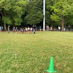 ダッシュ(茶色チーム)①の画像