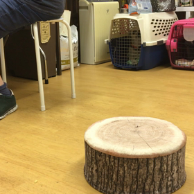 おうちでやってるか？の画像