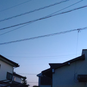 夏が来たの画像