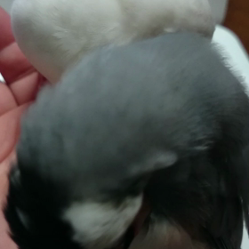 はぁ～…の画像