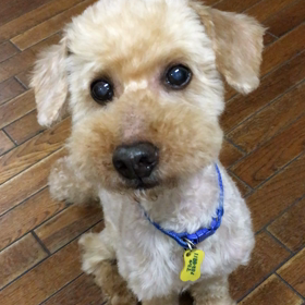 男前になりました。の画像