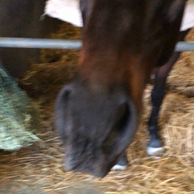 ボンちゃんっての画像