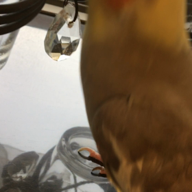 ゴールデンウィーク①の画像