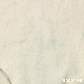 誕生日京都パート④の画像