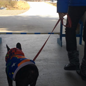 ガホちゃんの画像