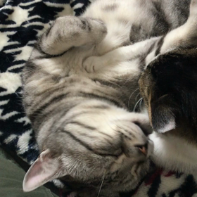 人多すぎない❓の画像