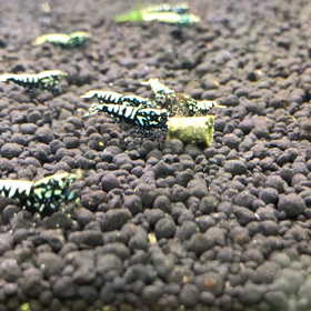 迷うなぁの画像