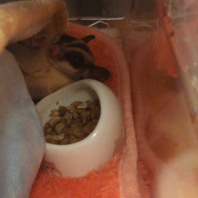 こんにちは＾＾の画像