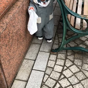 狭いところがお好き？の画像