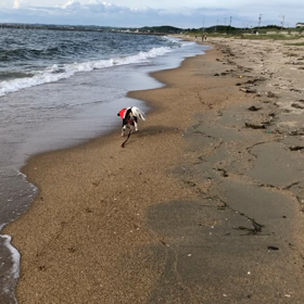 ■３歳さいごの１日:)■の画像
