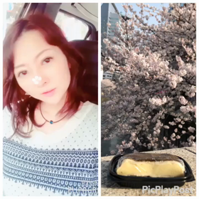 今年一番桜大賞 お昼間部門 動画の画像