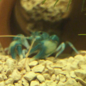 暫く見ない間に（≧∇≦）の画像