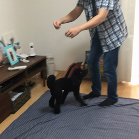 プチリア充の画像