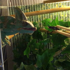 何度でも挑戦出来るよの画像