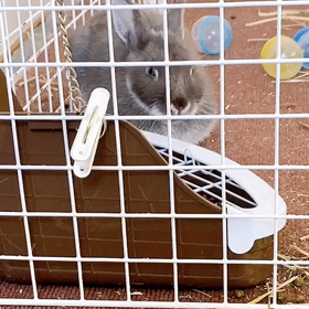 眠いのか？眠いんだな？よし、寝なさいなwの画像