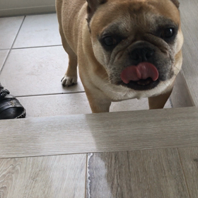 見た目によらず？それとも…。の画像