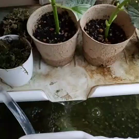 暑くても安心の画像