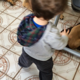 あるった！！の画像