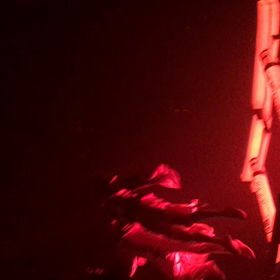 フエルサブルータの画像