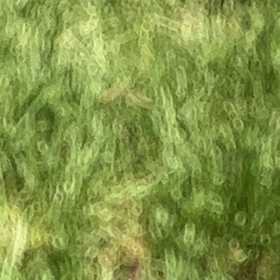 飛び立つ飛行機の画像