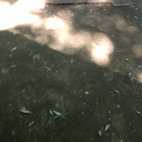 恋活BBQパーティーつくばゆかりの森の画像