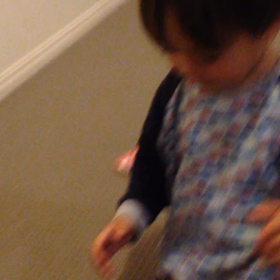 縁蔵の気持ち(動画)の画像