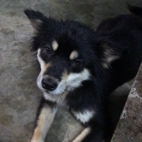 ベトナムの暮らしの画像