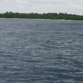 グアム旅行記 動画（イルカ編）の画像