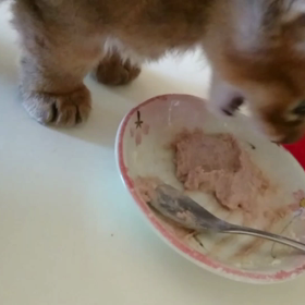 おー‼️の画像